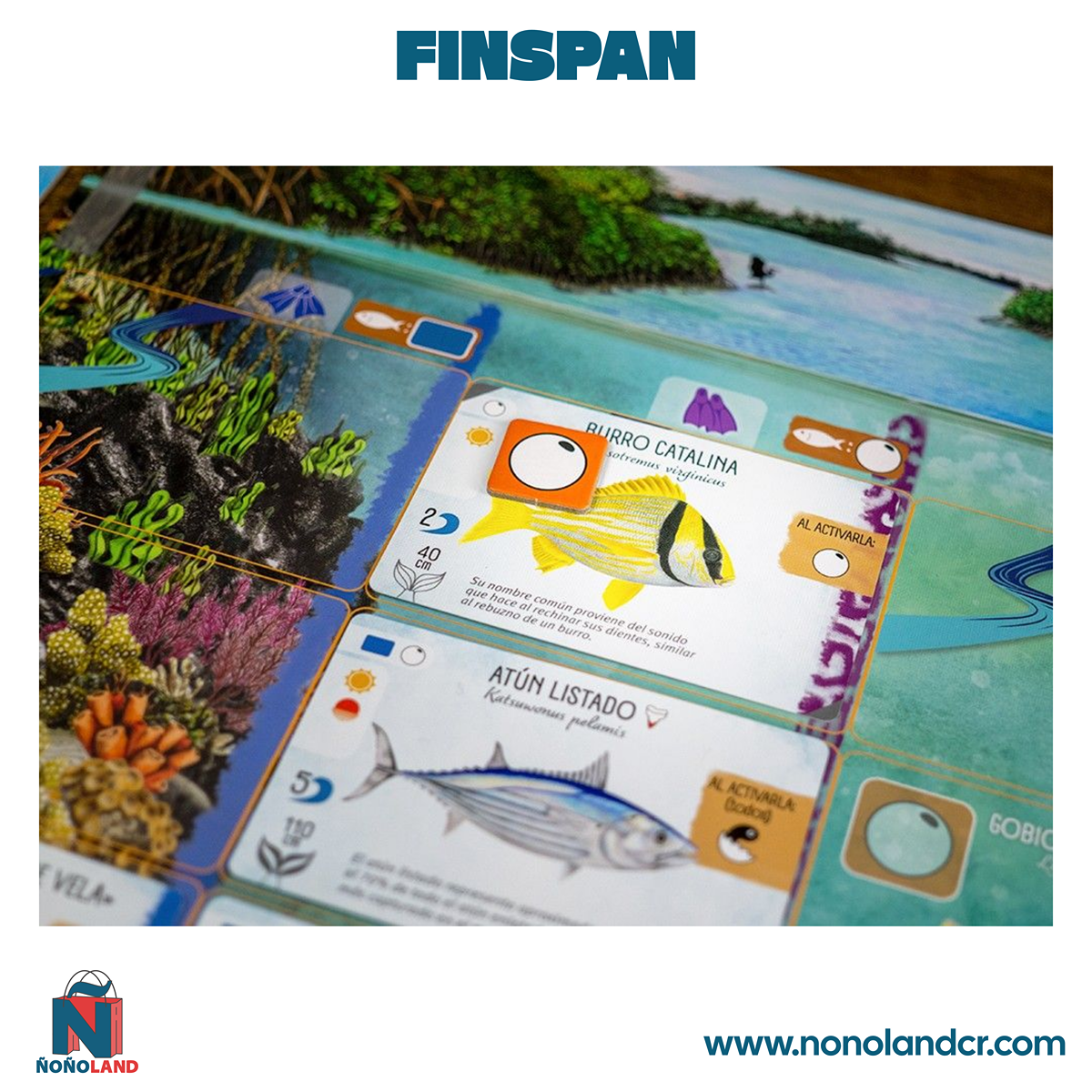 Finspan (Idioma: Español)