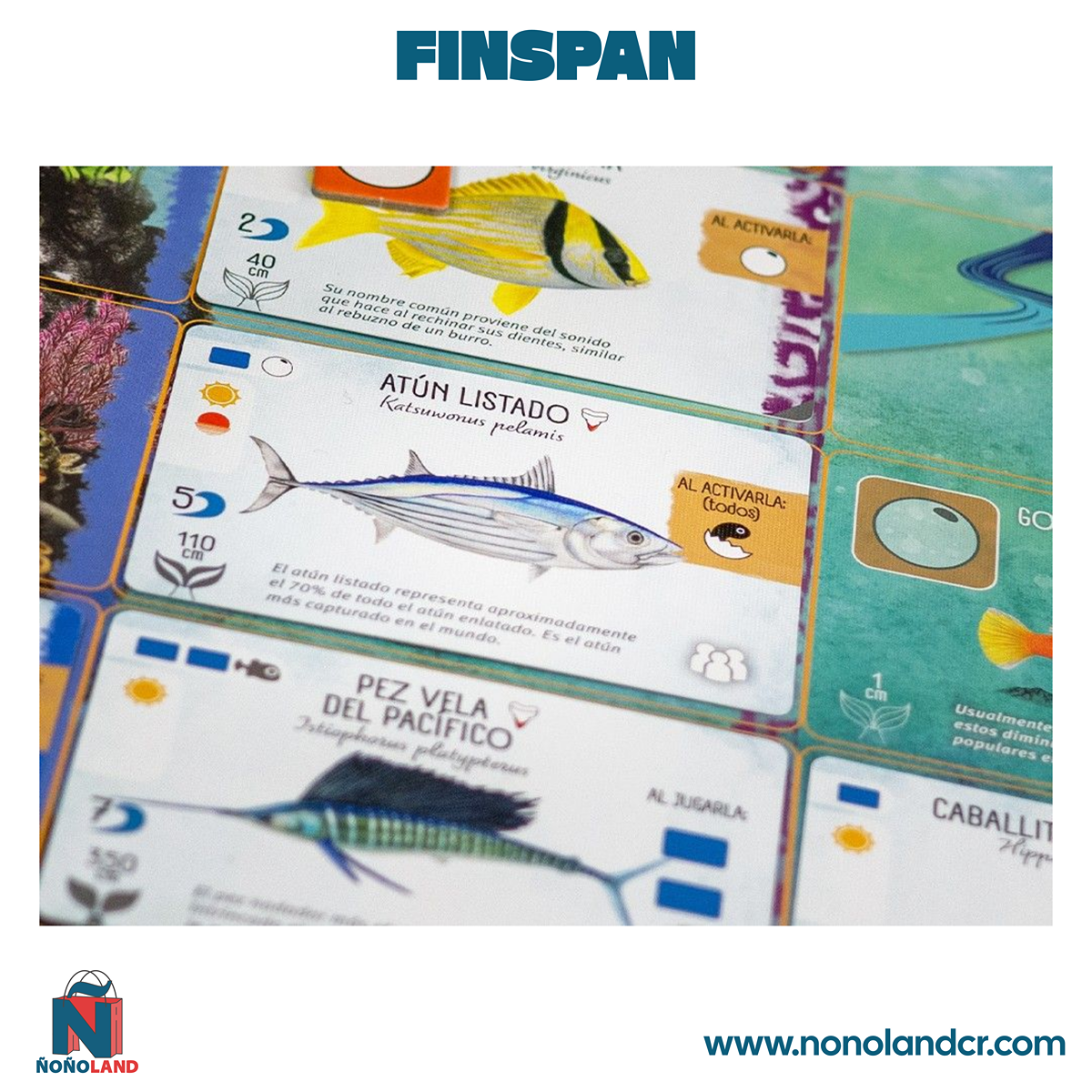 Finspan (Idioma: Español)