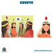 Coyote (Idioma: Español) - ÑoñolandCR