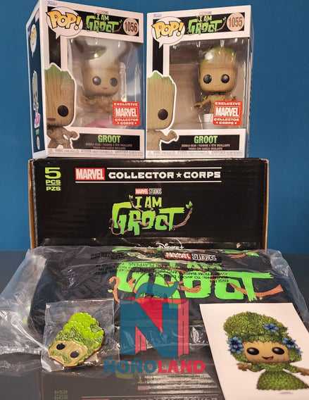 Funko Marvel Collector Corps I Am Groot - ÑoñolandCR