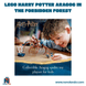 LEGO Harry Potter Aragog in The Forbidden Forest - ÑoñolandCR
