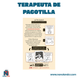 Terapeuta de Pacotilla (Idioma: Español) - ÑoñolandCR