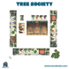 Tree Society (Idioma: Español) - ÑoñolandCR